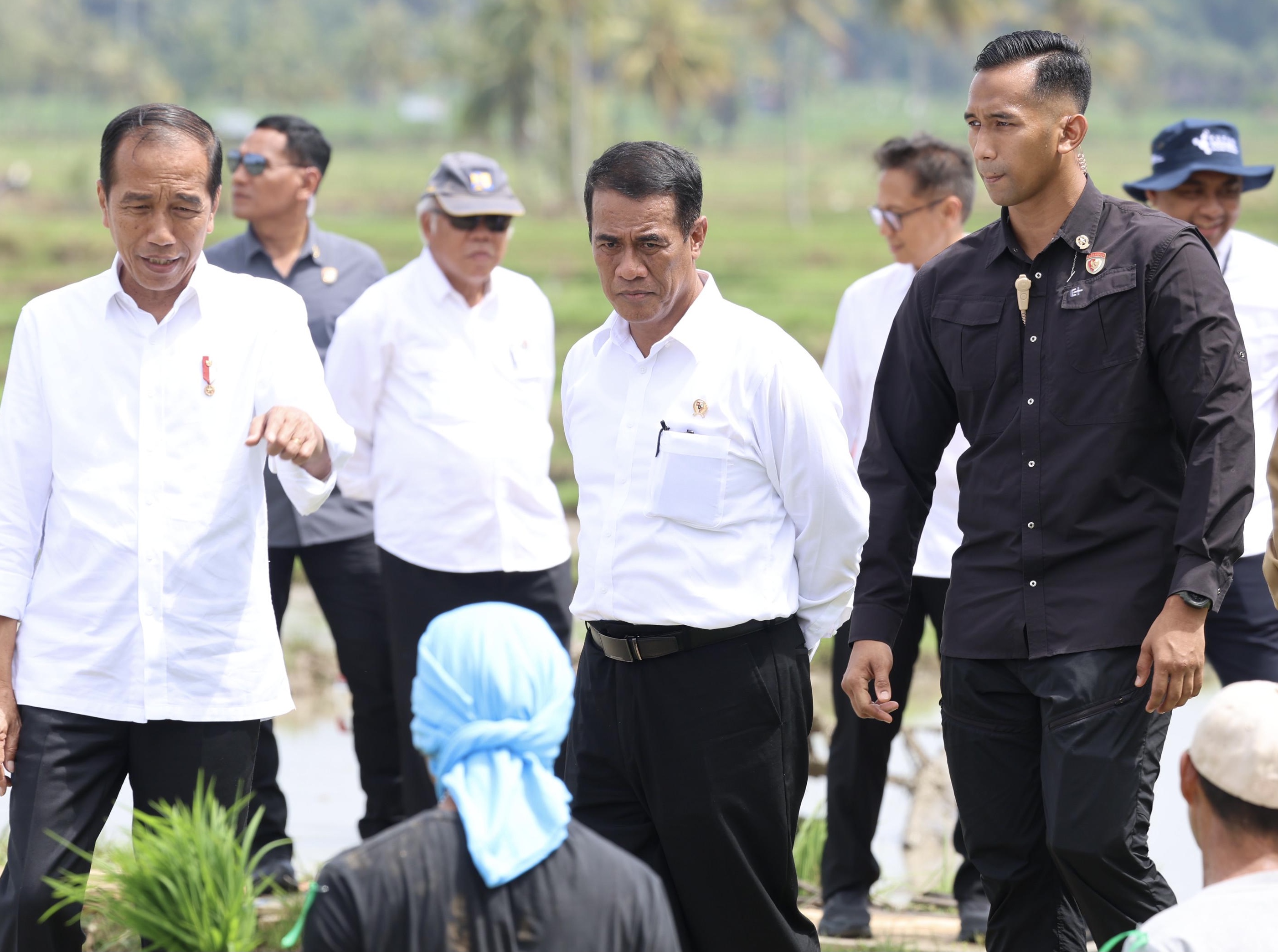 Jokowi Turun ke Sawah, Petani: Ini Berkah, Terima Kasih Pak Mentan