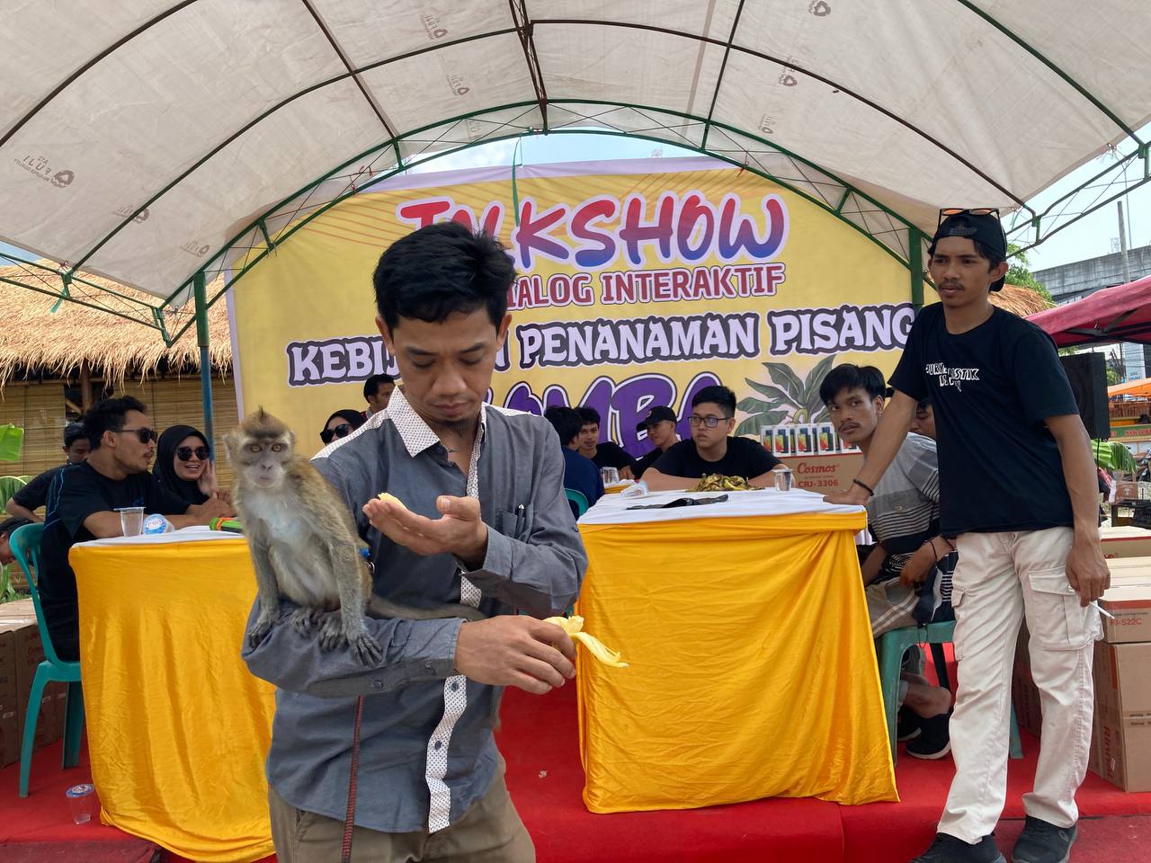 Peserta Lomba Makan Pisang Di Makassar Mencapai 420 Orang, Monyet Juga Ikutan